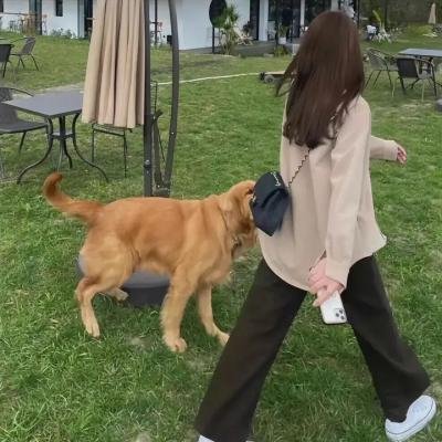 河东狮吼2