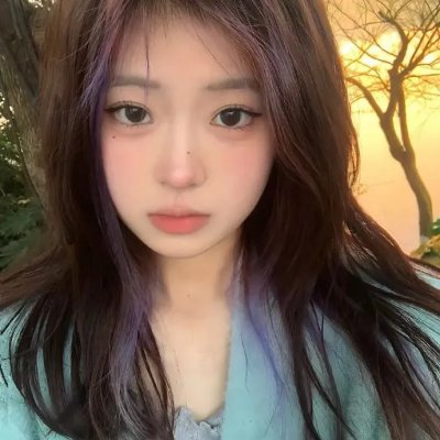 胭脂虎新传